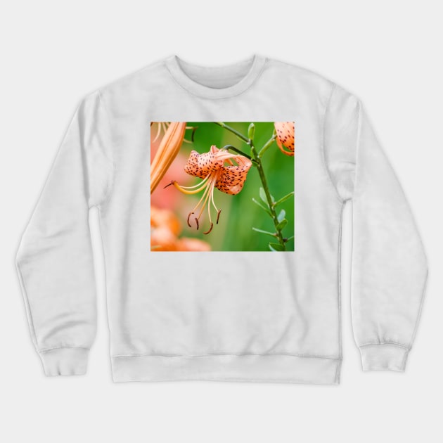 Amongst the Tiger Lilies Photograph Crewneck Sweatshirt by love-fi